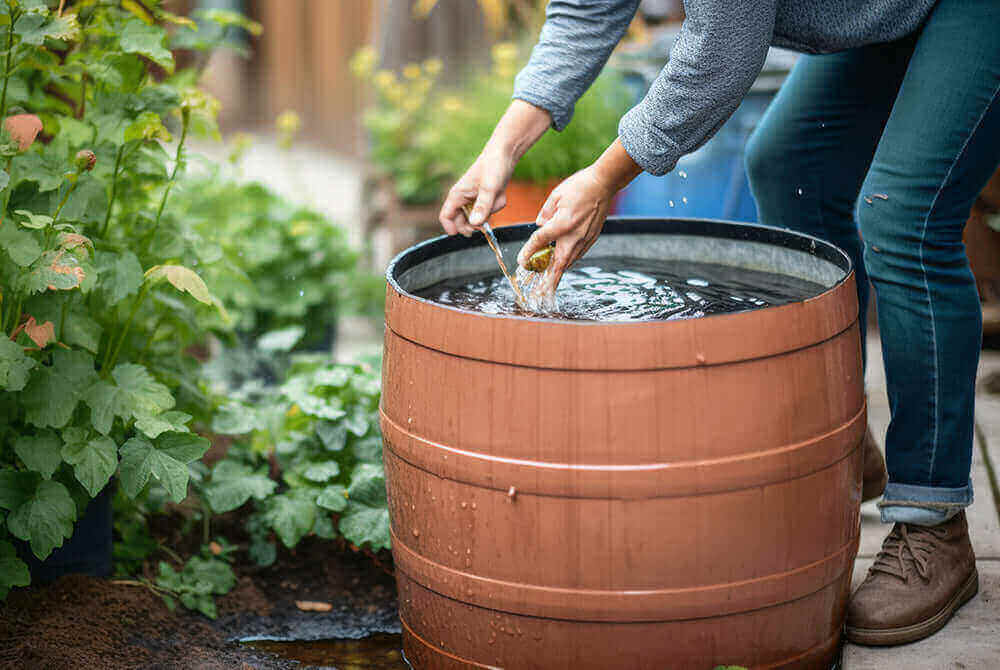 Regenwasser sammeln und für Haus und Garten nutzen Bächlein