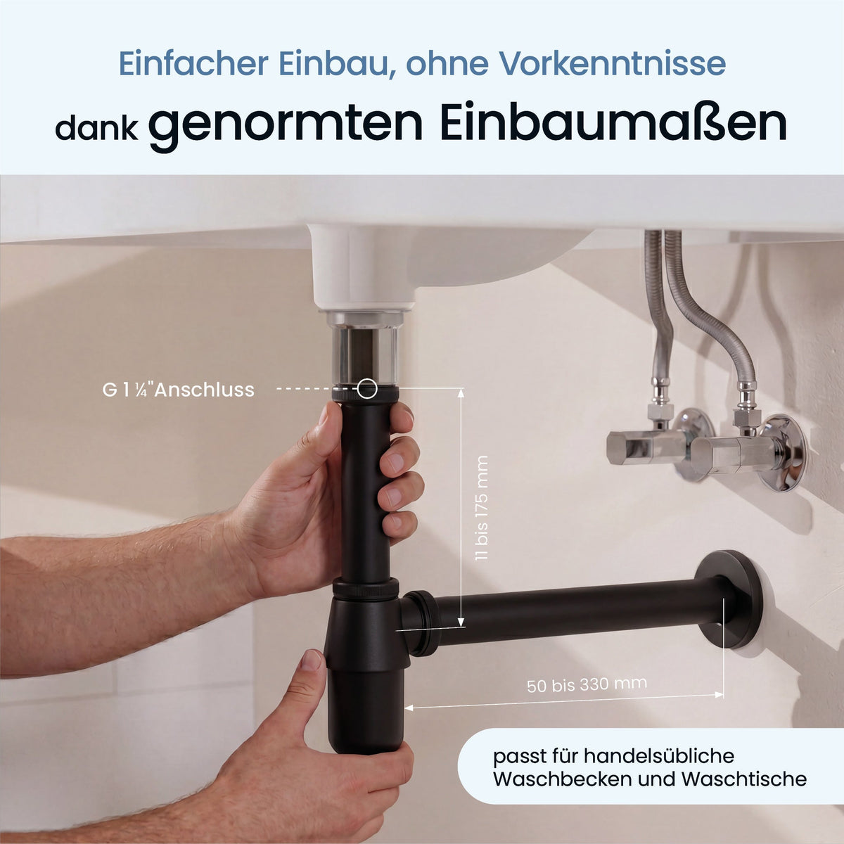 Tassensiphon