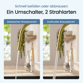 Küchenarmatur Sasaro
