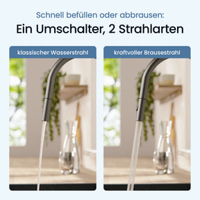 Küchenarmatur Sasaro